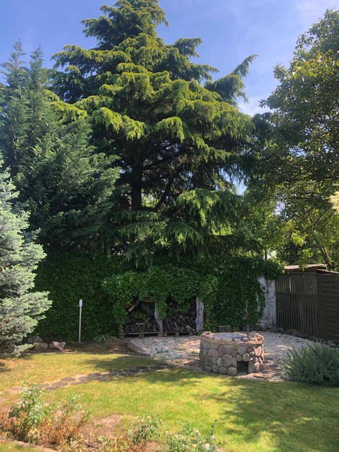 Villa pour 10 personnes, avec jardin à Budapest - 2