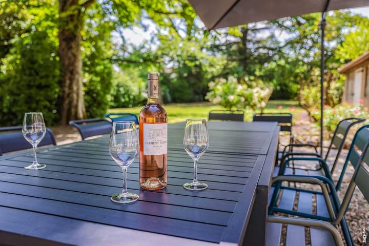 Gîte pour 12 personnes, avec jardin et piscine, animaux acceptés à Lisle-sur-Tarn - 4
