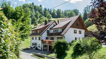 Ferienwohnung für 3 Personen, mit Balkon/Terrasse und Terrasse, kinderfreundlich in Bad Peterstal-Griesbach