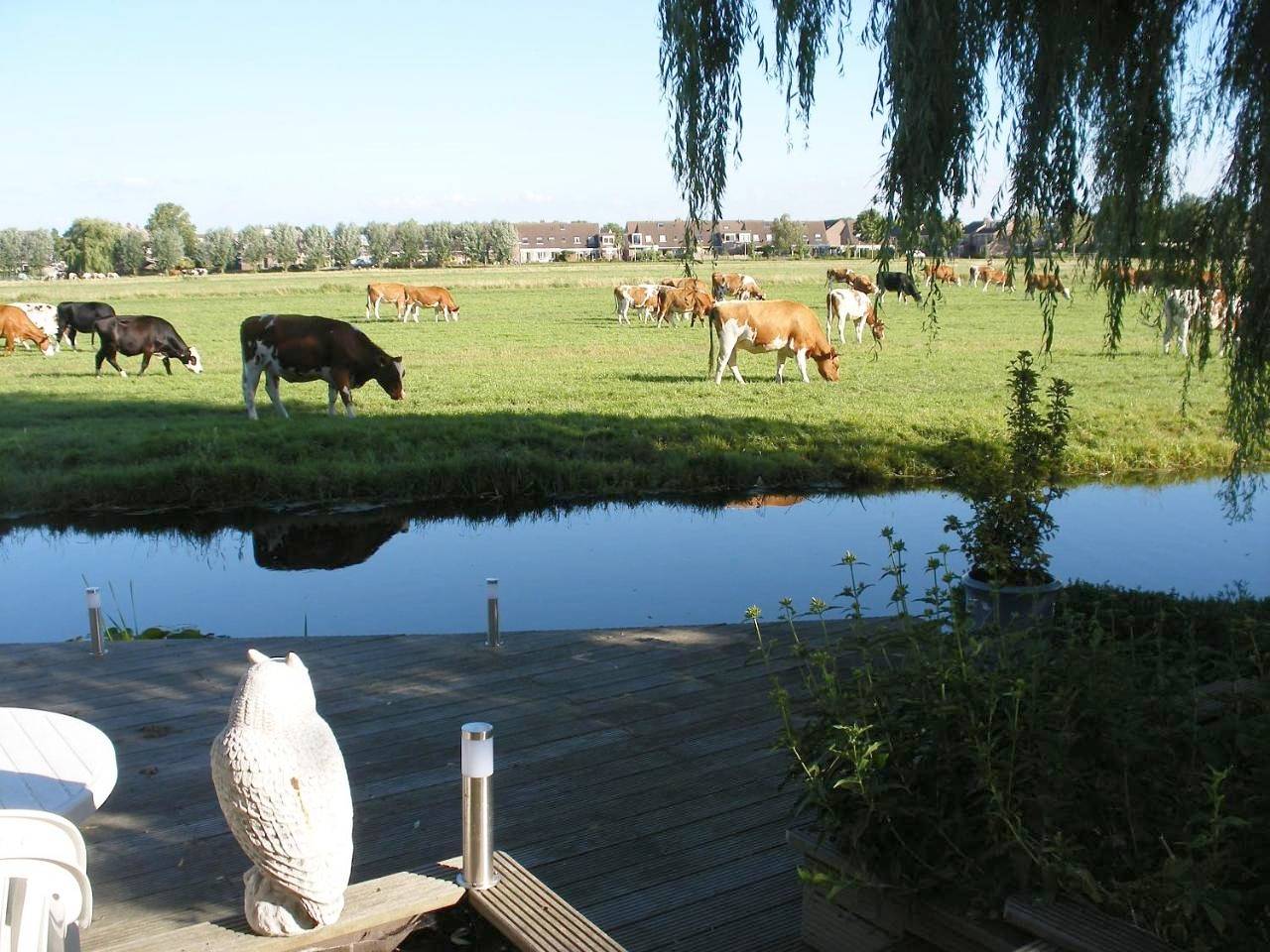 B&B-Edam in Edam, Markermeer