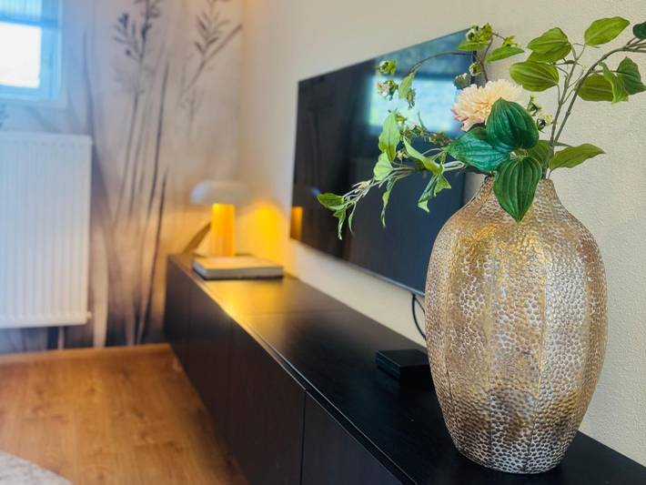 Ferienhaus für 6 Personen, mit Terrasse und Garten in den Niederlande - 4