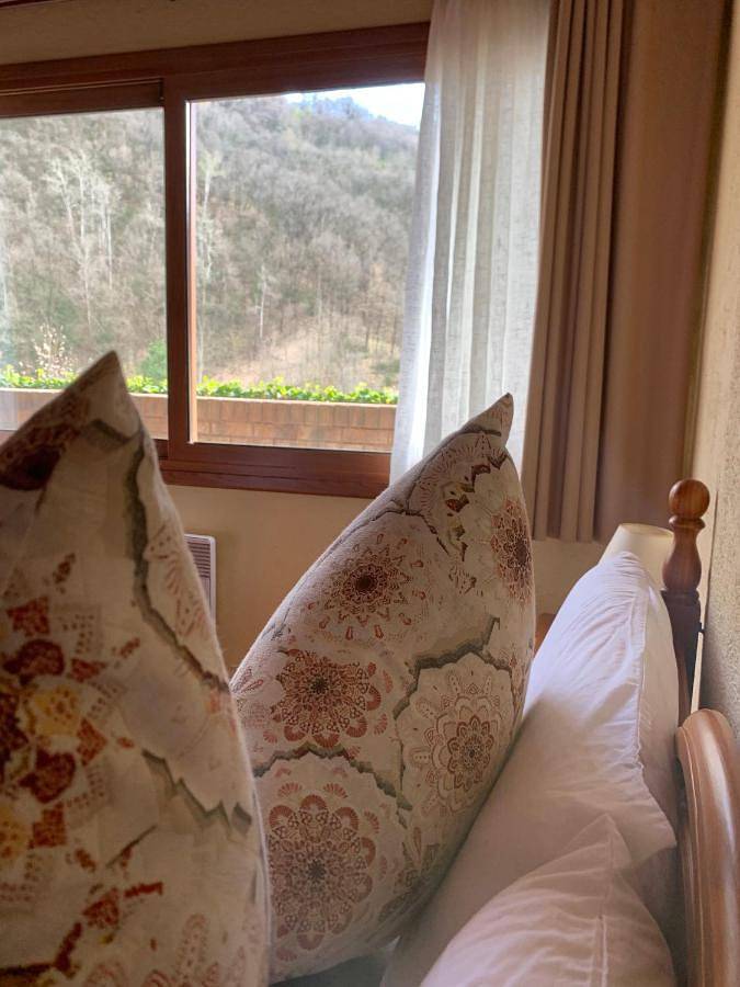 Standard Double Room in Torre de Capdella, Pirineo Catalan