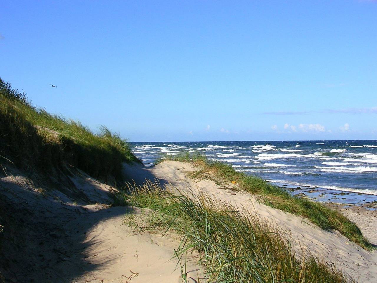 Ferienwohnung Bakenberg auf Rügen in Kreptitz, Dranske