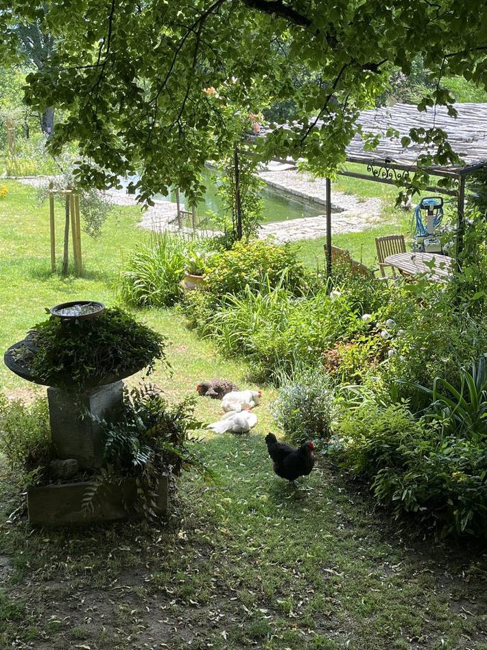 Chambre d’hôte pour 2 personnes, avec piscine et jardin dans la Drôme - 4