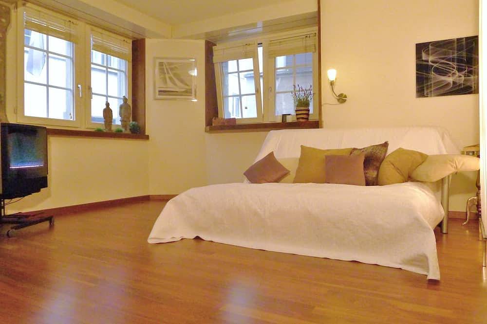 Apartamento entero, In the heart of Zurich in Zúrich, Distrito de Zúrich