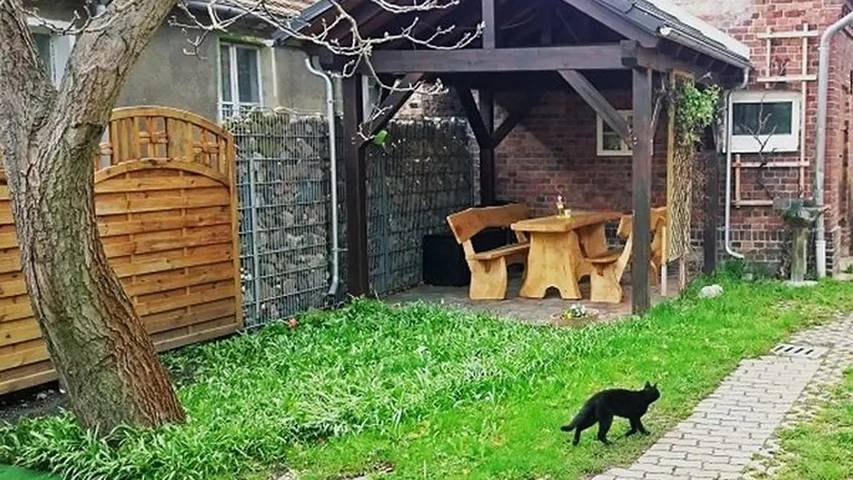 Ferienwohnung für 2 Personen, mit Garten in Lübbenau - 2
