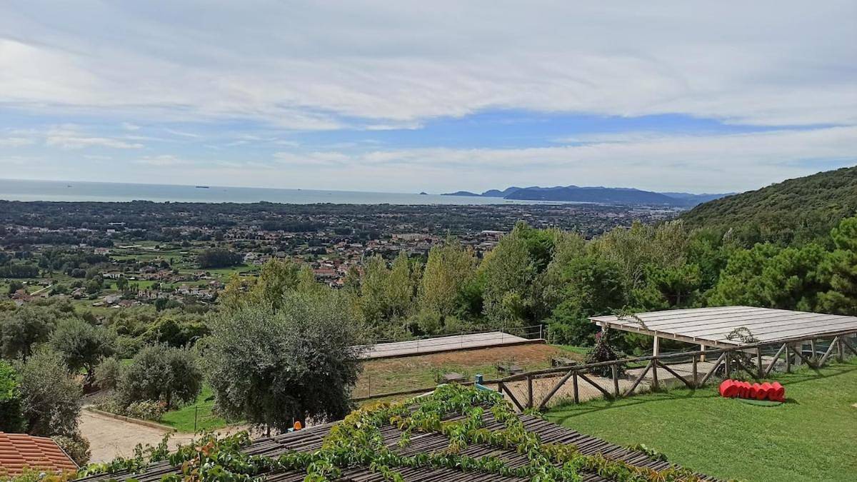 Palatina 2 hill Pietrasanta Forte dei Marmi in Strettoia, Pietrasanta