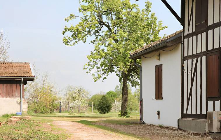 Gîte pour 12 personnes, avec terrasse et jardin, animaux acceptés dans Haute-Marne - 4