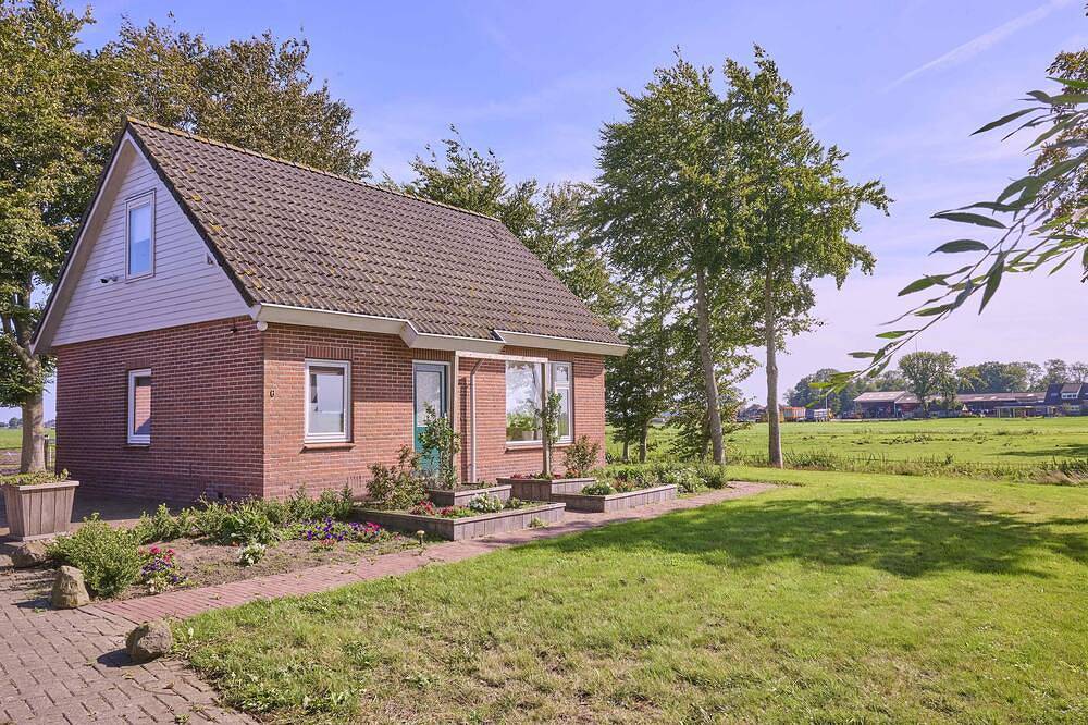 Ferienhaus mit Blick auf Alpakas und Pferde in Nationalpark Weerribben-Wieden