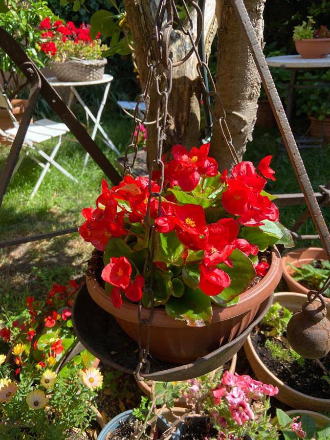 Ferienwohnung für 3 Personen, mit Garten und Ausblick, mit Haustier - 1
