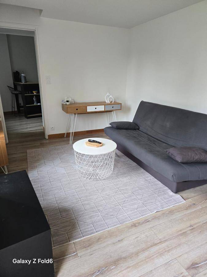 Gîte pour 3 personnes, avec vue et jardin à Ouzouer-sur-Loire - 4