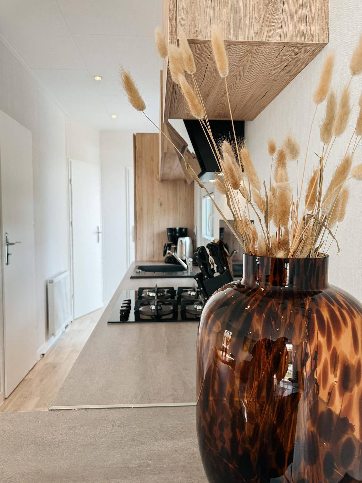 Camping en Bungalowpark de Norgerberg — Chalet deluxe in Drenthe