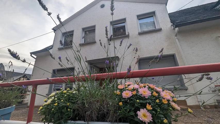 Ferienhaus für 8 Personen, mit Terrasse, mit Haustier in Bruttig-Fankel
