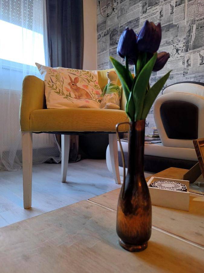 Gîte pour 2 personnes, avec terrasse et vue à Vršac - 3