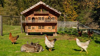 Ferienwohnung für 5 Personen in Forstau, Ski Amadé, Bild 4