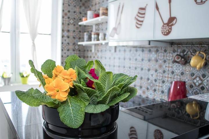 Appartement de vacances pour 5 personnes, avec terrasse et vue