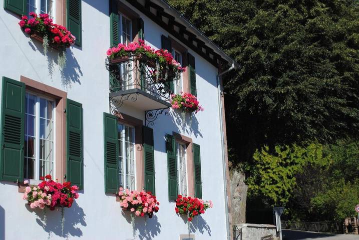 Chambre d’hôte pour 2 personnes, avec jardin et vue à Le Hohwald - 2