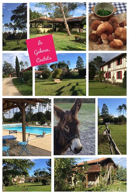 Le Gahoun - La Suite Comtoise in Castets (Landes), Région de Dax