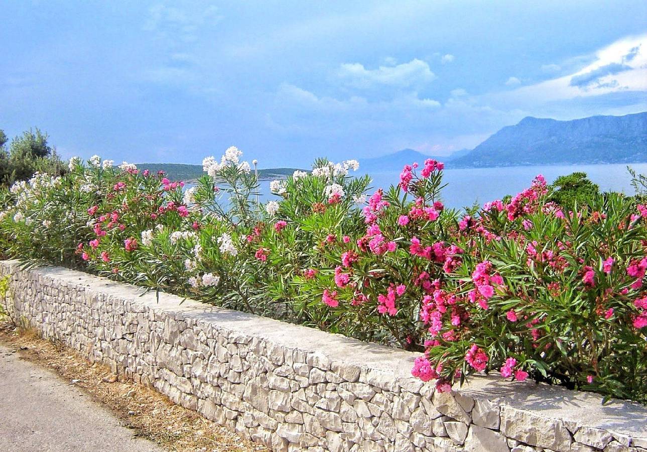Entire holiday apartment, Apartments Villa Gracin in Povlja, Povlija, Selca and Sumartin