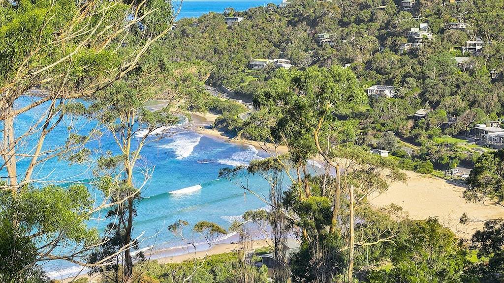 - beautiful treetop and beach beach views in Wye River, Colac Otway Shire
