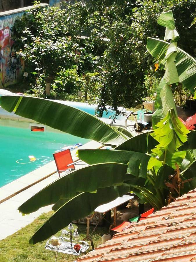 Chambre d’hôte pour 4 personnes, avec piscine et jardin, animaux acceptés dans les Hautes-Pyrénées - 2