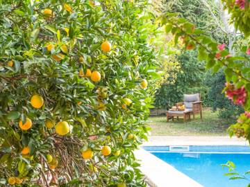 Holiday home in Petra, Majorca Center für 12 