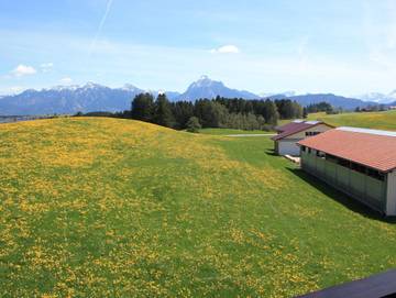 Ferienwohnung für 5 Personen in Hopferau, Allgäuer Alpen, Bild 2