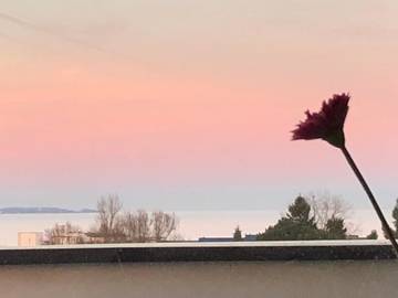 Hütte für 4 Personen, mit Ausblick und Garten in Scharbeutz