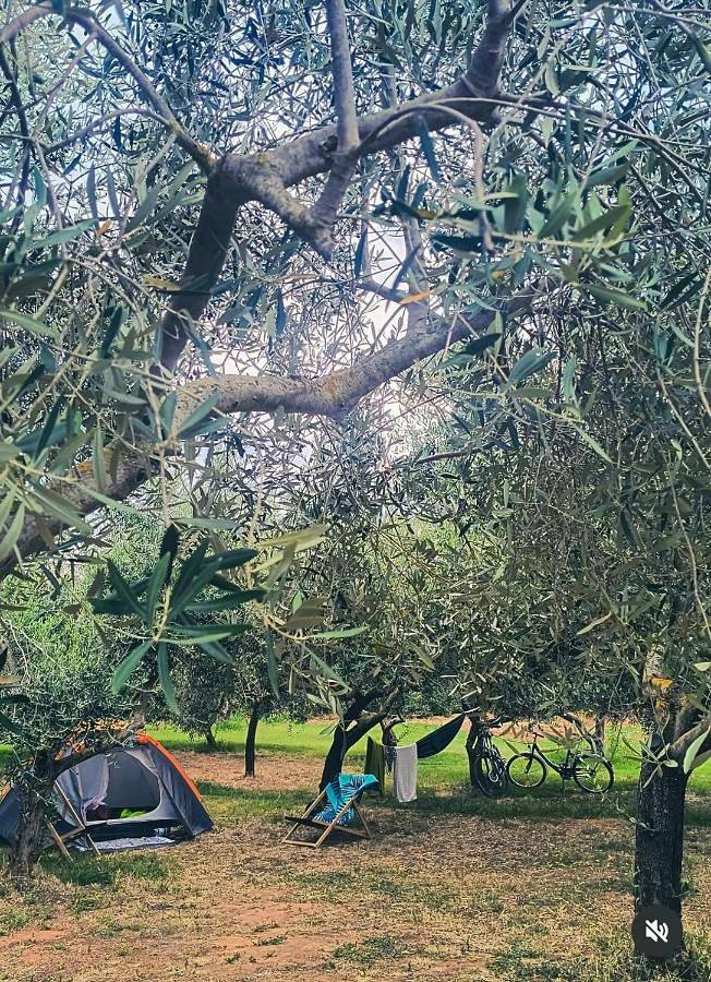 Camping pour 2 personnes, avec piscine ainsi que vue et jardin en Croatie - 2