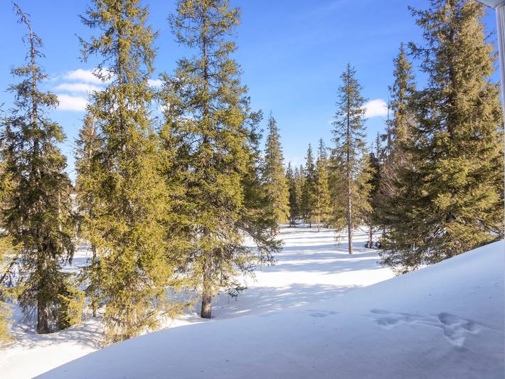 Nelikko a in Saarua, Nordösterbotten