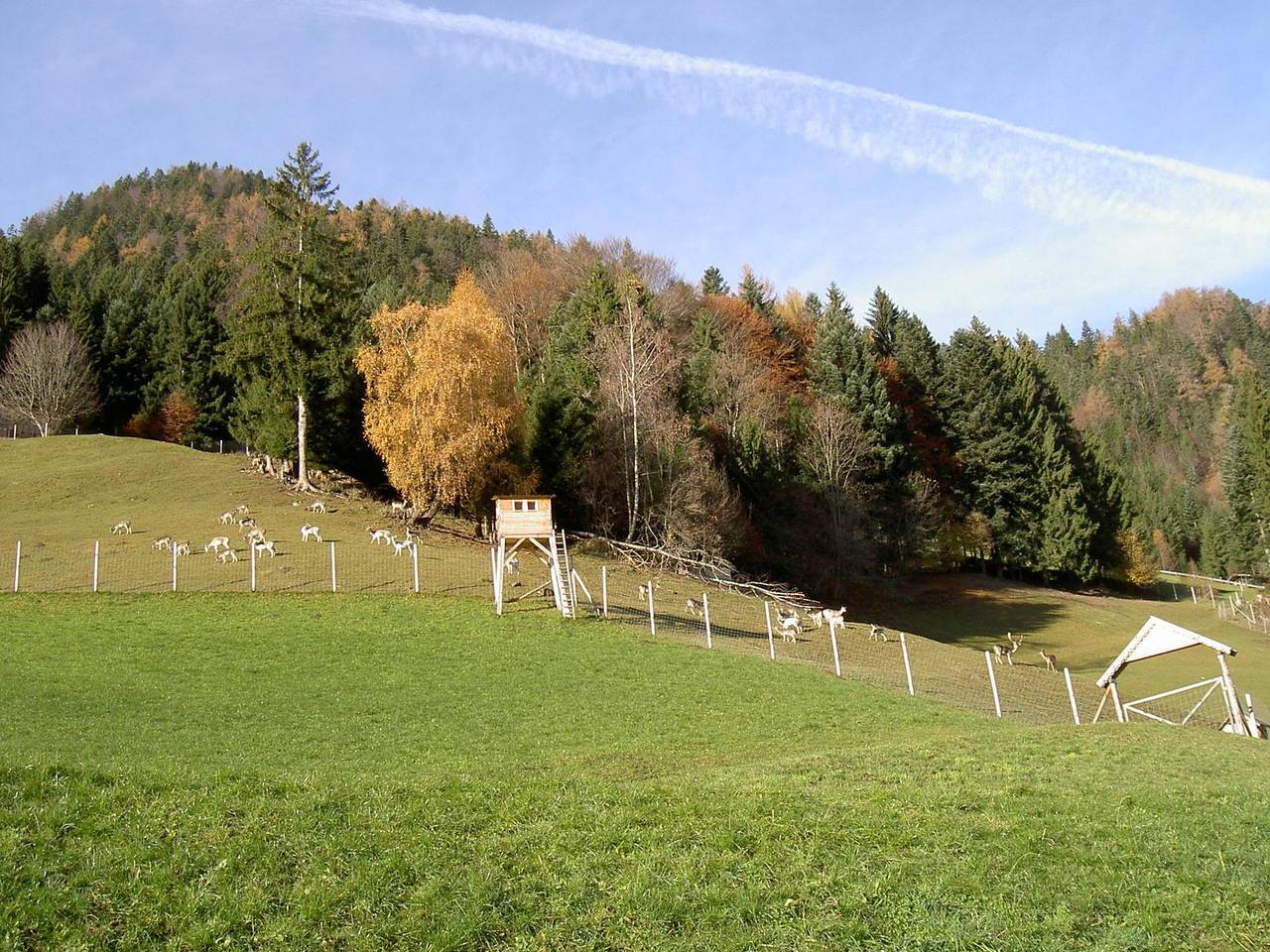 Ganze Ferienwohnung, Ferienwohnung Talblick in Tuxer Alpen, Schlitters