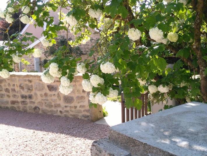 Location de vacances pour 5 personnes, avec vue et jardin, animaux acceptés à La Guiche - 4