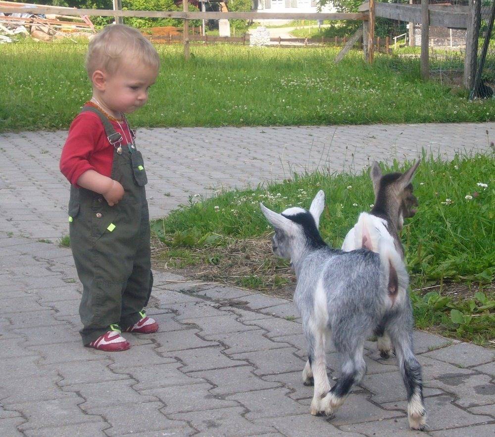 Ganze Ferienwohnung, Ferienhof Schugg - Enzian in Missen-Wilhams, Bayerisch Schwaben