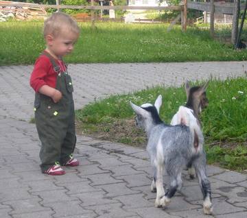 Apartamento Rural para 2 Personas en Missen-Wilhams, Suabia, Foto 4