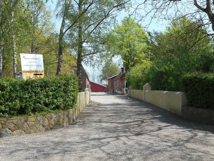 Ferienwohnung für 6 Personen, mit Terrasse und Garten in Bisdorf - 4
