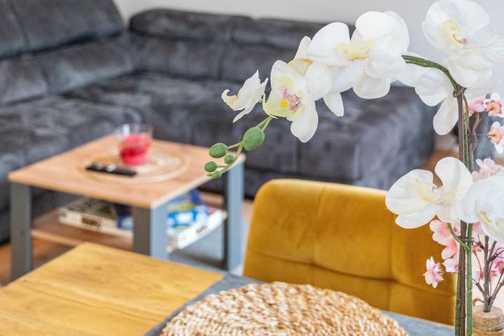 Ferienwohnung für 4 Personen, mit Garten in Norden - 3