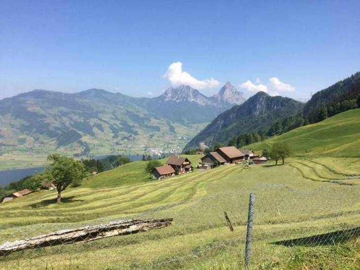 Ferienwohnung für 6 Personen, mit Balkon und Terrasse sowie Garten und Ausblick am Vierwaldstättersee - 3