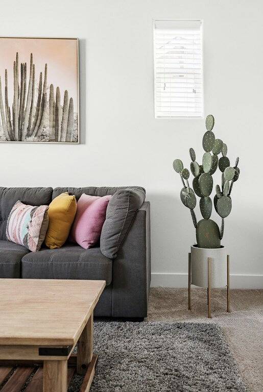 Vacation rental for 8 people, with terrace in Flagstaff