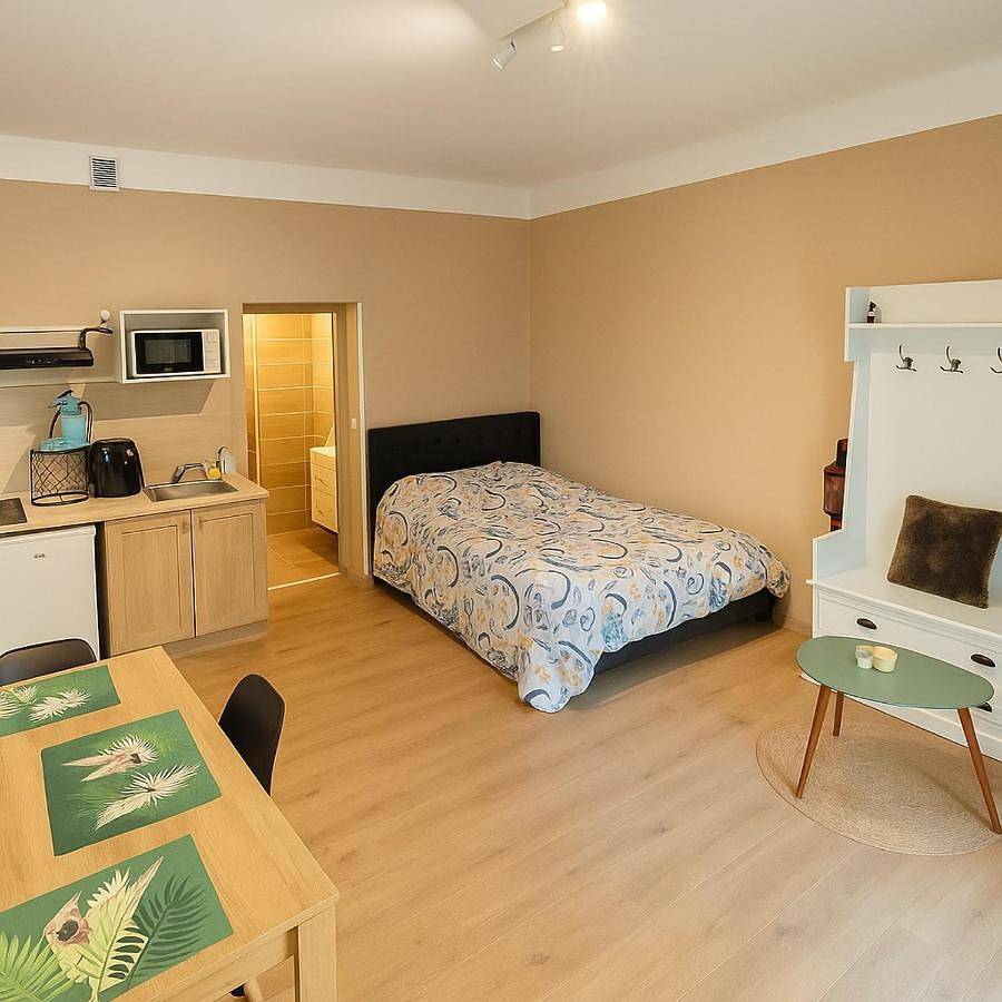 Appartement entier, Appartement Neuf climatisé Rdc à 100m des cures in Lamalou-les-Bains, Région de Béziers