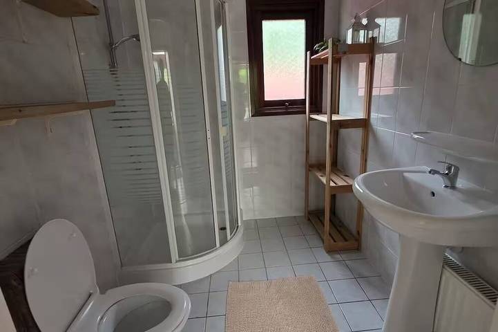 Wooded Pond Cottage in the Veluwe with a Swimming Pool! in Veluwe