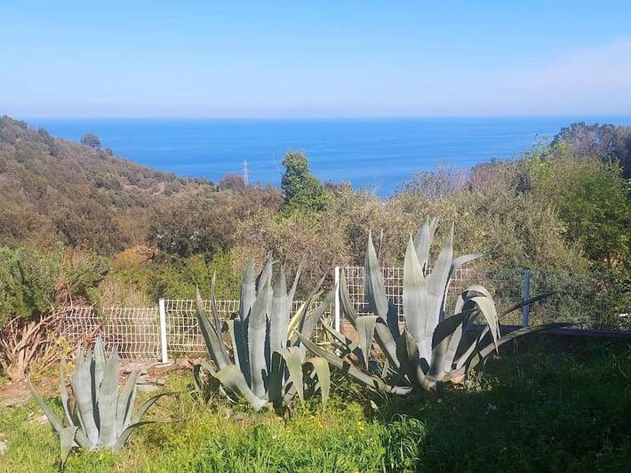 Location de vacances pour 2 personnes, avec jardin et vue dans Cap Corse - 2