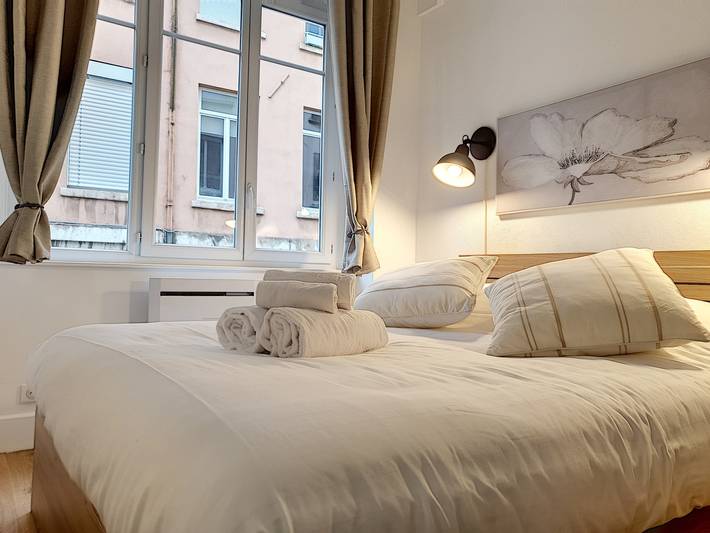Appartamento intero, Appartamento vacanze per 3 persone in Lione, Lione e dintorni