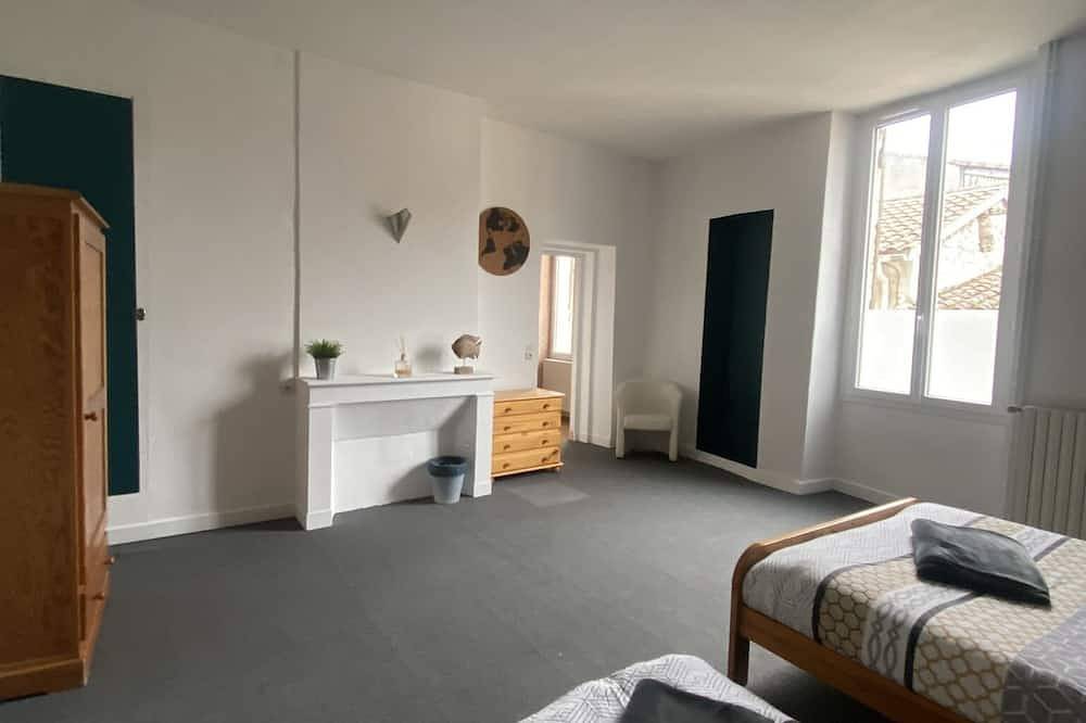 Town house 10 persons in Casteljaloux, Nérac region