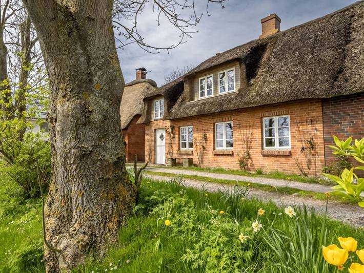 Ferienhaus für 4 Personen, mit Garten, mit Haustier in Pellworm - 2