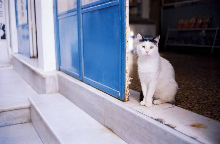 Villa für 2 Personen, mit Balkon auf Naxos - 2