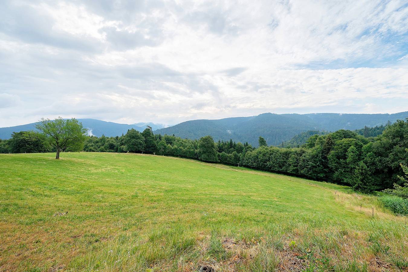 Ganze Wohnung, Apartment 'Reesbauernhof - Fewo Abendrot' mit Bergblick, Gemeinschaftsterrasse & Wlan in Hofsgrund, Oberried