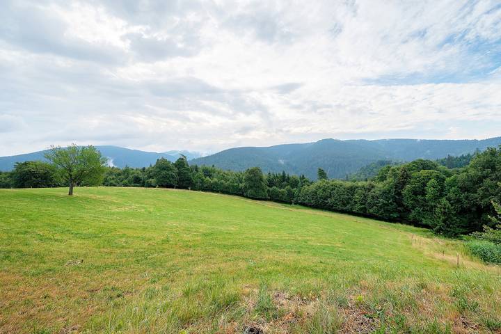 Ferienwohnung für 6 Personen, mit Balkon und Garten im Schwarzwald - 3