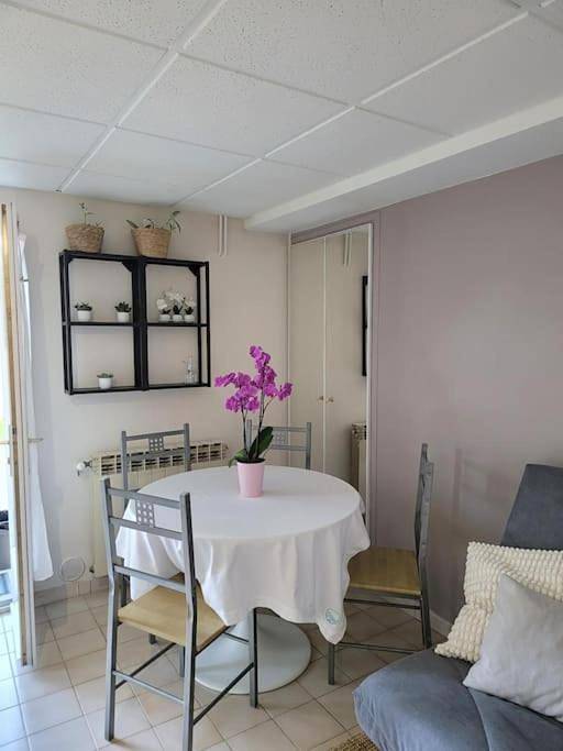 Appartement entier, Charmant appartement 35 m2 avec terrasse et jardin in Domont, Val-d'Oise
