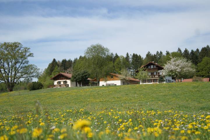 Ganze Ferienwohnung, Ferienhaus Axmann - Ferienhäuschen mit 55 qm bis max. 6 Personen in Gstadt am Chiemsee, Chiemsee