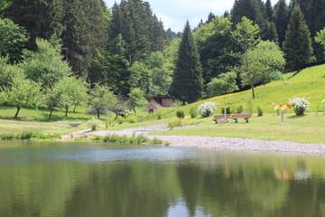 Ferienwohnung für 4 Personen in Fambach, Rennsteig, Bild 3